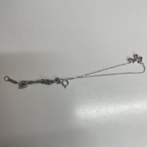 pt850　ネックレス